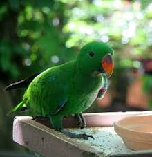 Images (12)