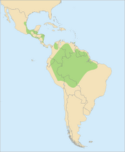 220px-Distribution Ara macao.svg