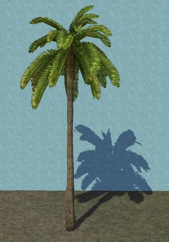 File:SHTPalm1.jpg