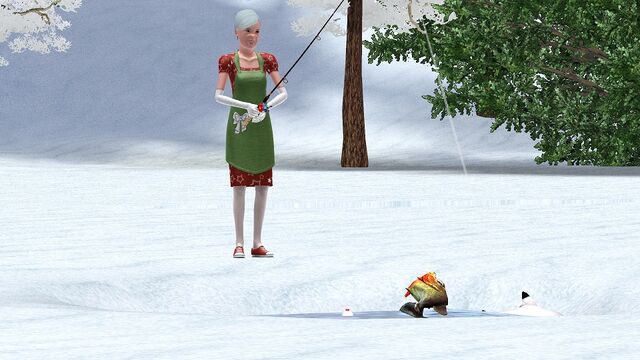 File:WinterWonder1.jpg