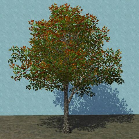 File:OrnamentalTree.jpg