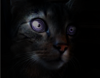 HAPPY1.png