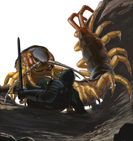 File:Centipede.jpg