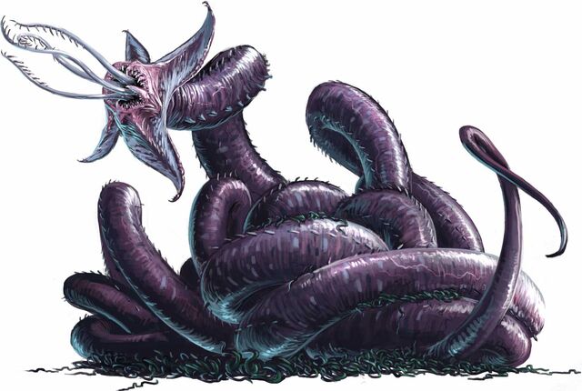 File:Neothelid.jpg