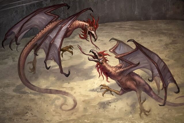 File:Cockatrice fight.jpg