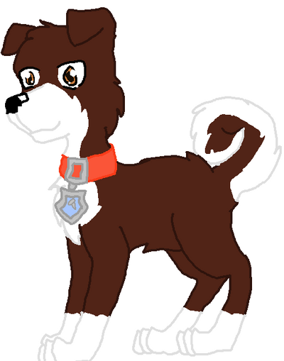 Sock