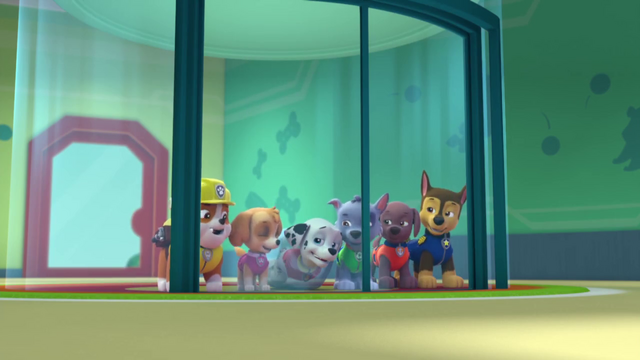 File:Vlcsnap-2015-04-19-11h30m41s151.png