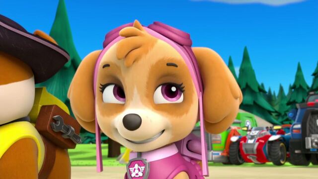 File:PAW.Patrol.S01E26.Pups.and.the.Pirate.Treasure.720p.WEBRip.x264.AAC 766032.jpg