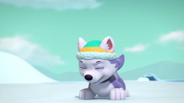 File:PAW.Patrol.S02E07.The.New.Pup.720p.WEBRip.x264.AAC 1217083.jpg