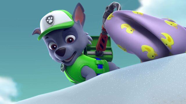 File:Sleepwalking Bear 11.jpg