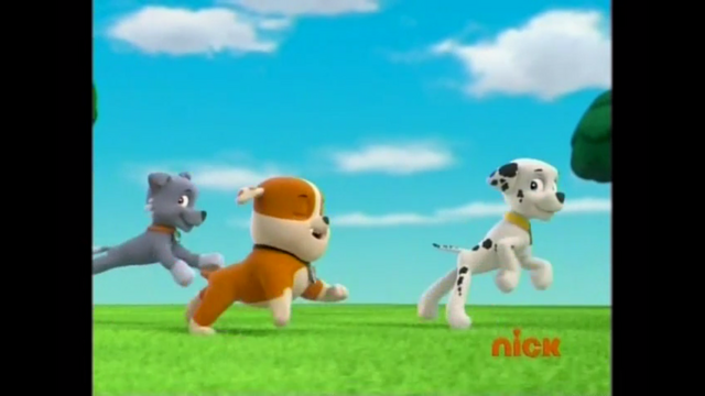File:Pp331.png