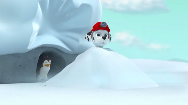 File:PAW.Patrol.S02E07.The.New.Pup.720p.WEBRip.x264.AAC 800933.jpg