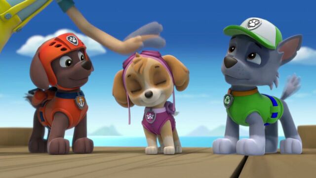 File:PAW.Patrol.S01E15.Pups.Make.a.Splash.-.Pups.Fall.Festival.720p.WEBRip.x264.AAC 641474.jpg