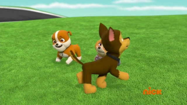 File:Ring Around Skye!.png
