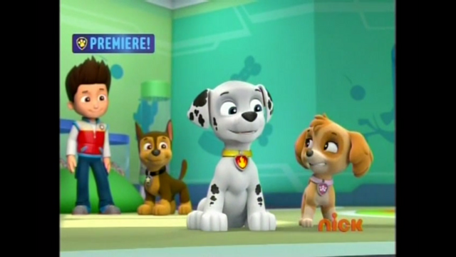 File:Pp2858.png