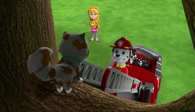 File:The Cat Show 31.jpg