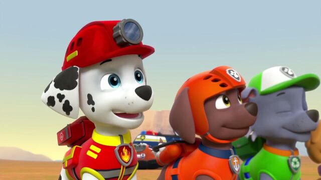 File:PAW.Patrol.S02E07.The.New.Pup.720p.WEBRip.x264.AAC 156289.jpg