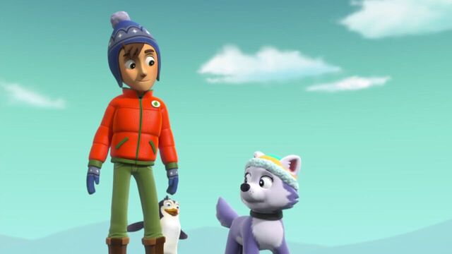 File:PAW.Patrol.S02E07.The.New.Pup.720p.WEBRip.x264.AAC 996329.jpg