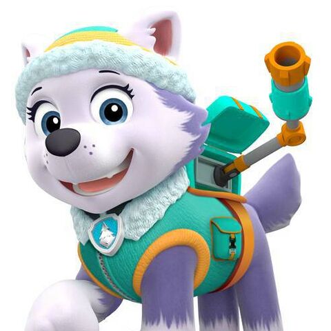 Everest | PAW Patrol Wiki | FANDOM powered by Wikia