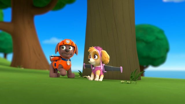 File:Pp446.png
