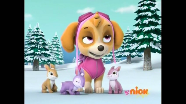 File:S21.png