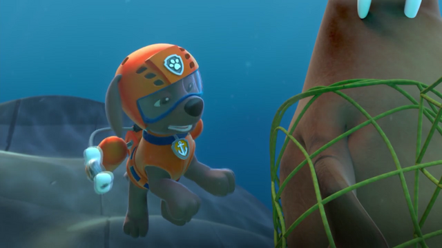 File:Screenshot 2016-12-12-11-37-56.png