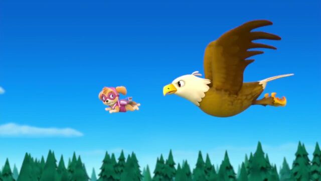 File:PAW.Patrol.S01E26.Pups.and.the.Pirate.Treasure.720p.WEBRip.x264.AAC 740640.jpg