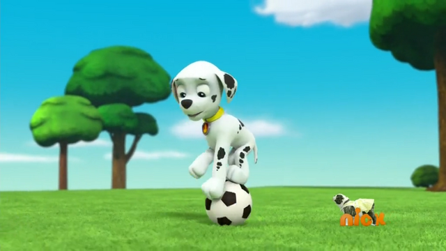 File:Marshall on Soccer Ball.png