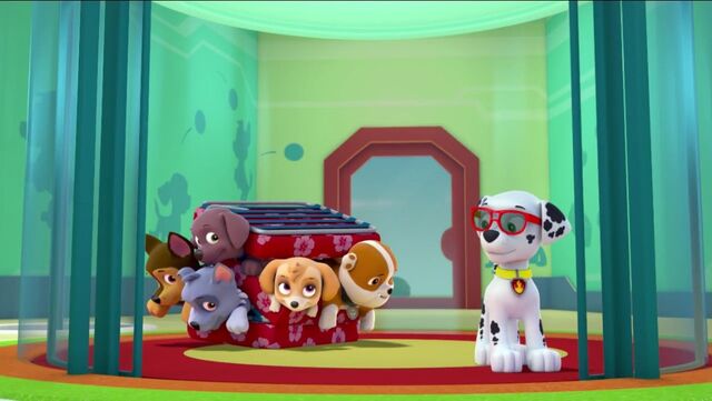 File:PAW Patrol Mini-Patrol Scene 15.jpg