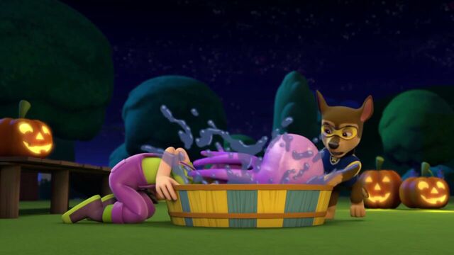 File:PAW.Patrol.S01E12.Pups.and.the.Ghost.Pirate.720p.WEBRip.x264.AAC 1306739.jpg
