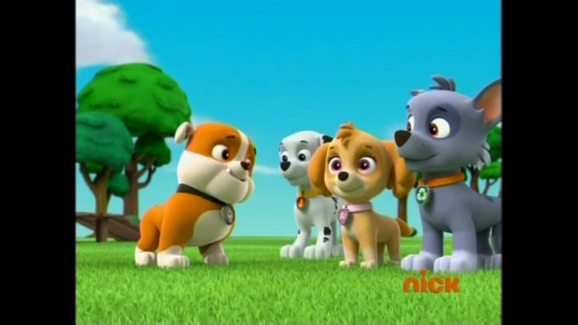 File:Pp334.png