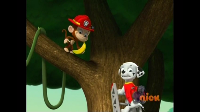 File:Pp2404.png