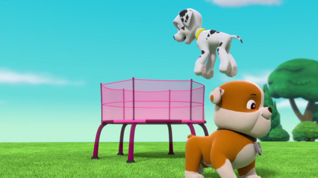 File:Vlcsnap-2015-04-11-18h32m53s89.png