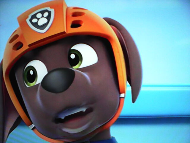 File:Zuma-0.jpg