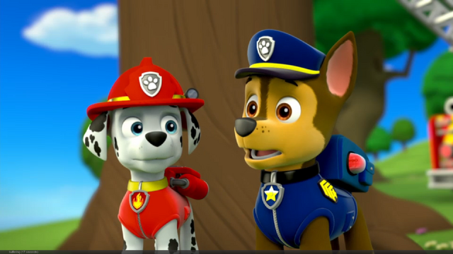 File:Pp430.png