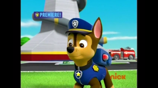 File:Pp529.png