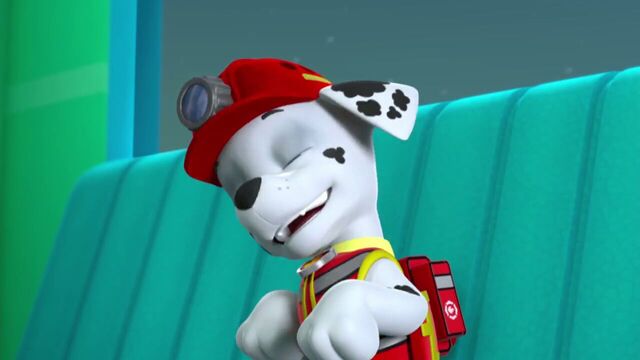 File:PAW.Patrol.S02E07.The.New.Pup.720p.WEBRip.x264.AAC 664097.jpg