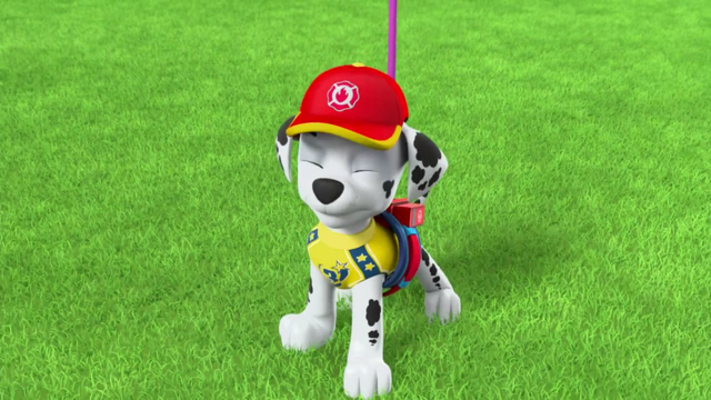 File:Pups Soccer 55.png