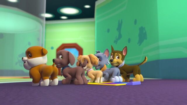 File:PAW.Patrol.S01E21.Pups.Save.the.Easter.Egg.Hunt.720p.WEBRip.x264.AAC 190090.jpg