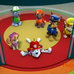 Marshall/Gallery/Pups Save the Parade | PAW Patrol Wiki | FANDOM powered by Wikia