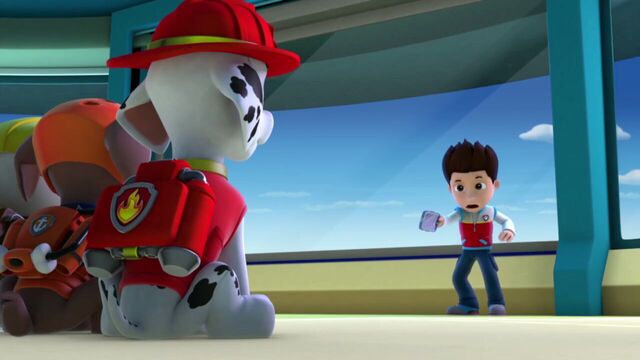 File:PAW.Patrol.S01E15.Pups.Make.a.Splash.-.Pups.Fall.Festival.720p.WEBRip.x264.AAC 236002.jpg