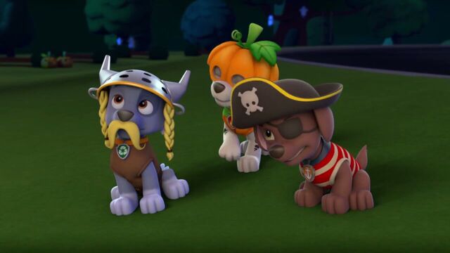 File:PAW.Patrol.S01E12.Pups.and.the.Ghost.Pirate.720p.WEBRip.x264.AAC 1342908.jpg