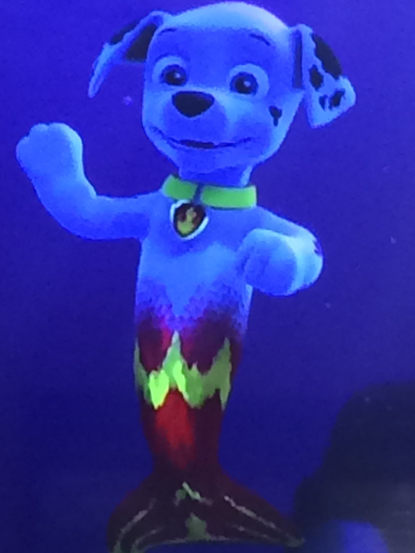 Image - Mer-Pup Marshall.jpeg | PAW Patrol Wiki | FANDOM powered by Wikia