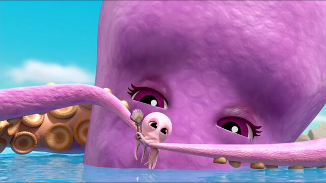 File:Baby Octopus 99.jpg