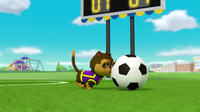 File:Pups Soccer 26.png