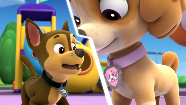 File:Pp865.png