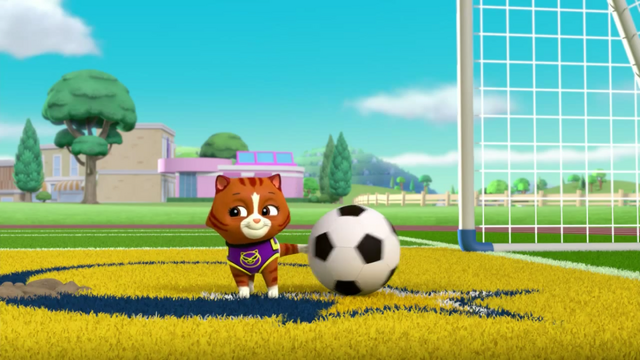 File:Pups Soccer 34.png