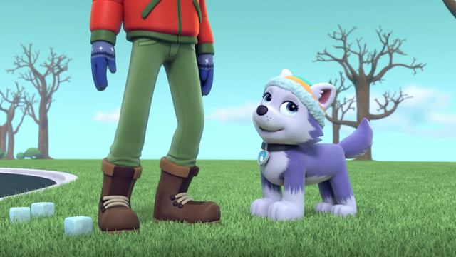 File:Screenshot 2016-12-28-20-43-13.png