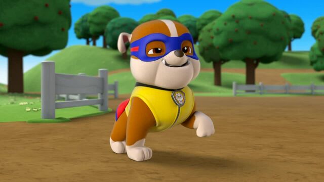 File:Rubble the super pups is here.jpg
