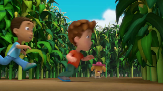 File:Jlcornroast2.png